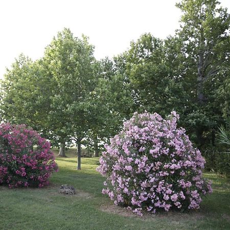 波滕扎皮切纳 Agriturismo La Fonte Di San Girio旅馆 外观 照片